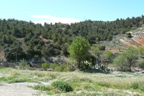 Cortijo i Lorca, Murcia, Lorca - € 249.995 | Ref: 1731-CH - foto 4